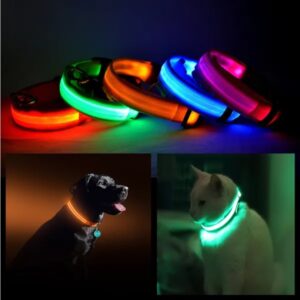 LED Dog Safety Halo Collar – USB Rechargeable 360° Glow for Night Walks – Free US Shipping