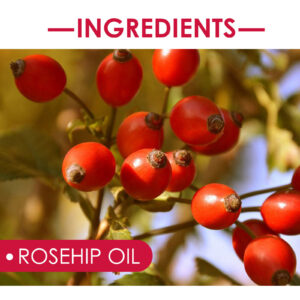 EELHOE Rosehip Facial Oil – Hydrating & Nourishing Skincare for Face, Body, Hair & Massage - Image 4