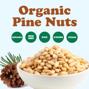 Organic Raw Pine Nuts – 1 lb Bulk Pignolias, Unsalted & Shelled, Non-GMO, Vegan & Kosher – Rich in Vitamin E & Protein for Pesto, Salads & Baking - Image 3