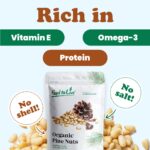 Organic raw pine nuts in a bowl – shelled, unsalted, Non-GMO pignolias, 1 lb bulk bag for pesto, salads, and baking
