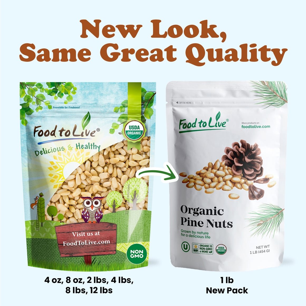 Organic raw pine nuts in a bowl – shelled, unsalted, Non-GMO pignolias, 1 lb bulk bag for pesto, salads, and baking