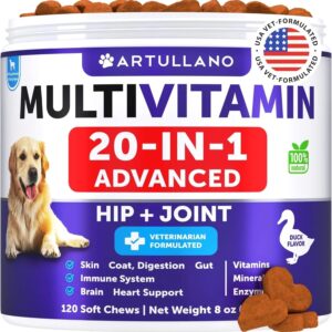 Dog Multivitamin Chews – 20-in-1 Vitamins & Supplements, Glucosamine, Joint & Immune Support, 120 Chews