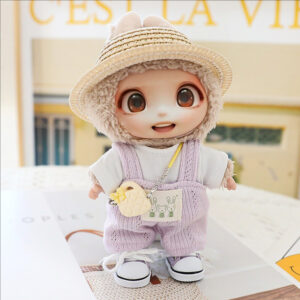 5-Piece Doll Clothes & Accessories Set – Cute Hat & Shoes Outfit for 15–17cm LABUBU Dolls - Image 3