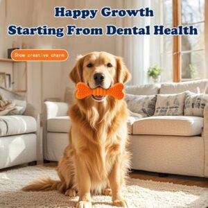 Dog Dental Chew Toys 2-Pack – Toothbrush Cleaning Chew Sticks for Puppies & All Dog Sizes - Image 4