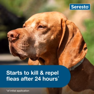 Seresto Flea & Tick Collar For Dogs Over 18 lbs., Vet-Recommended, 8 Month Protection - Image 2